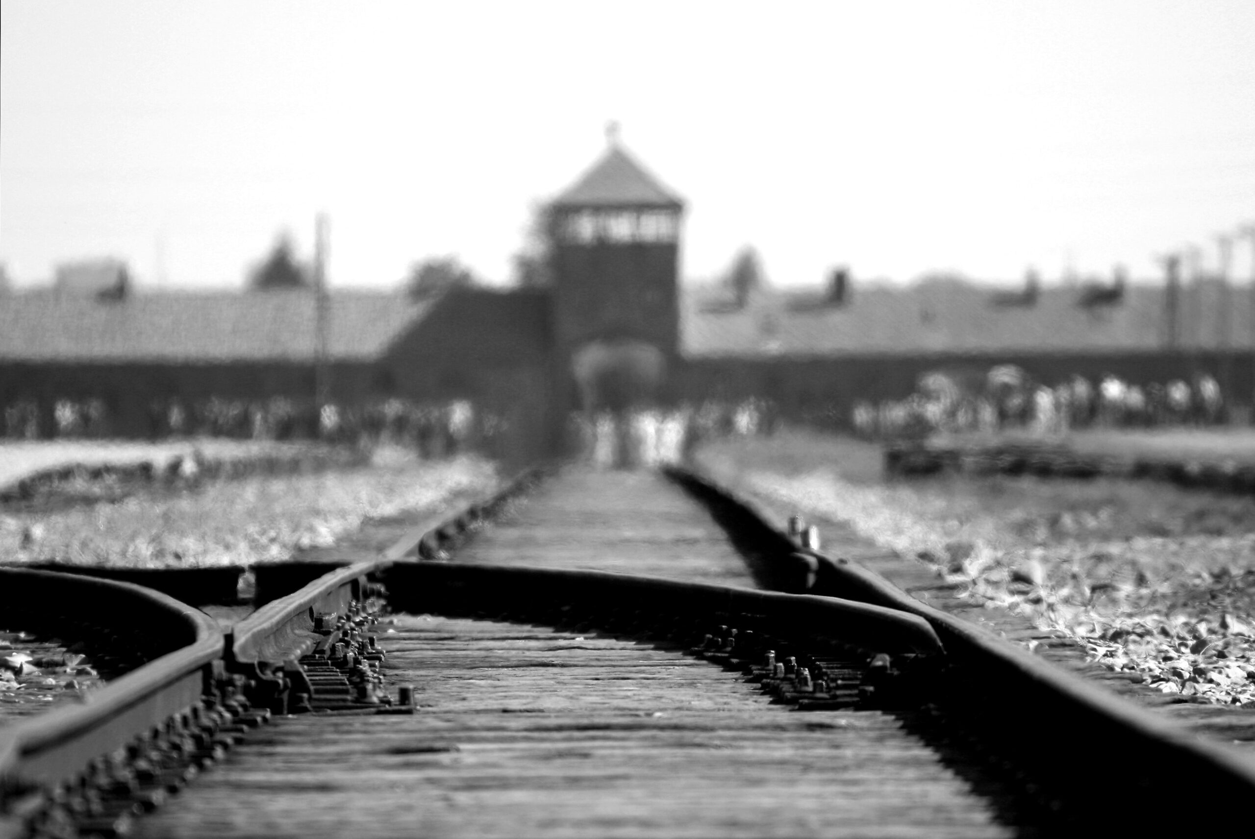 Il Giorno della Memoria